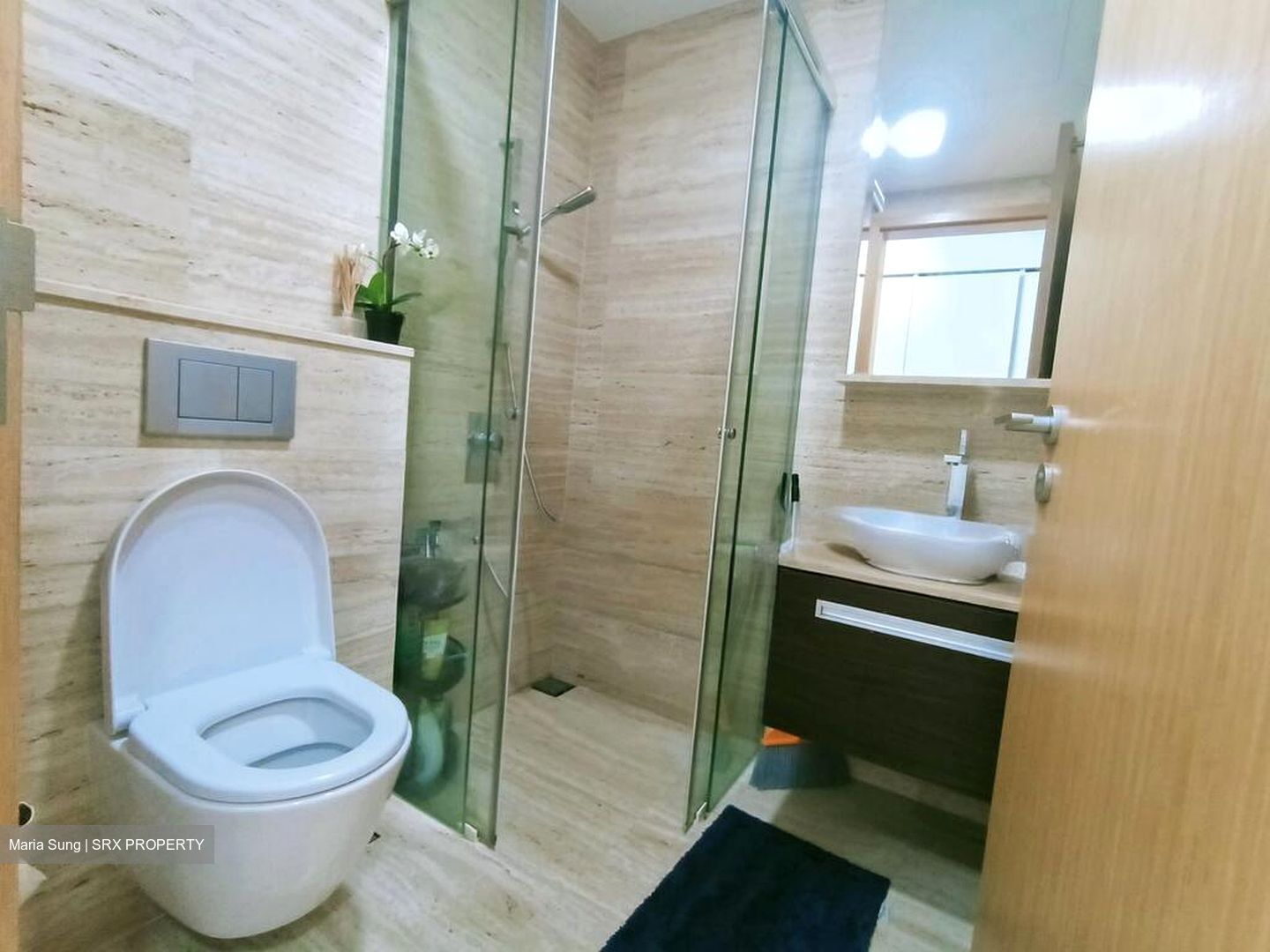 26 Newton (D11), Apartment #522359761
